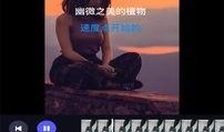 葫芦最新爆料视频下载,精彩内容抢先看！
